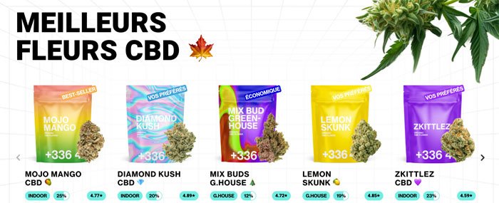 04-CBDavis.net-Avis-boutique-TealerLab-Meilleurs-fleurs-de-CBD