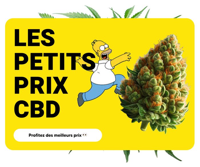 05-CBDavis.net-Avis-boutique-CBD-TealerLab-Gamme-petit-prix-CBD