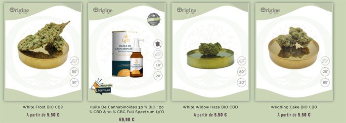CBD-avis-OrigineCBD-fleurs CBD
